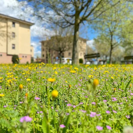 Appartamento Nel Cuore Della Natura - Parcheggio Gratuito - Wi-Fi Mezzolara Esterno foto