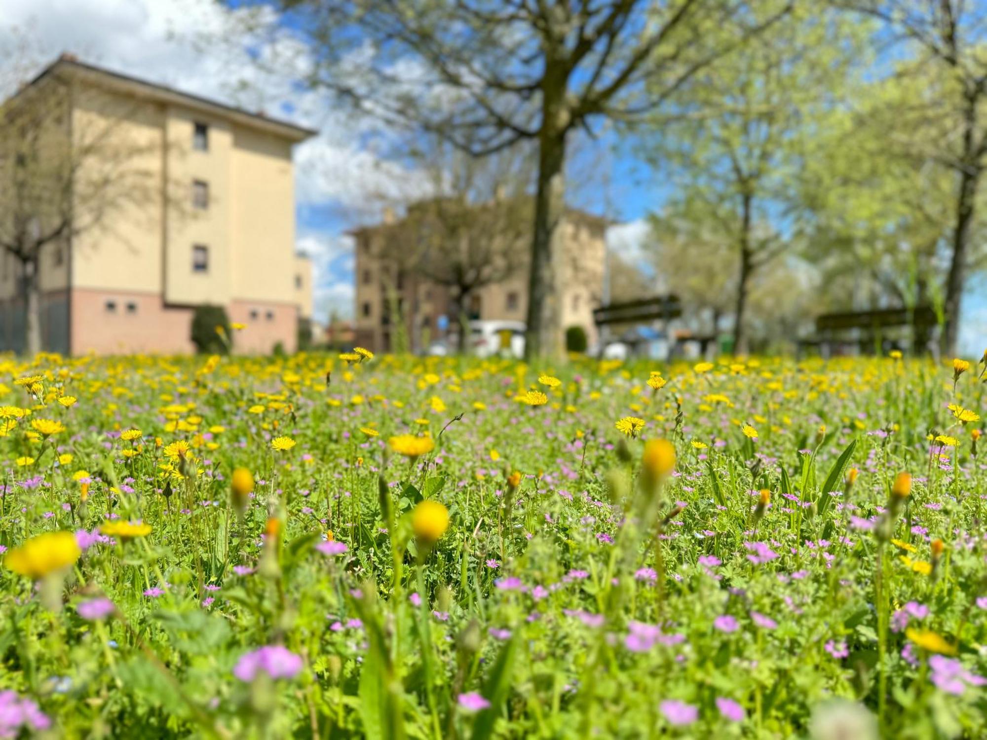 Appartamento Nel Cuore Della Natura - Parcheggio Gratuito - Wi-Fi Mezzolara Esterno foto