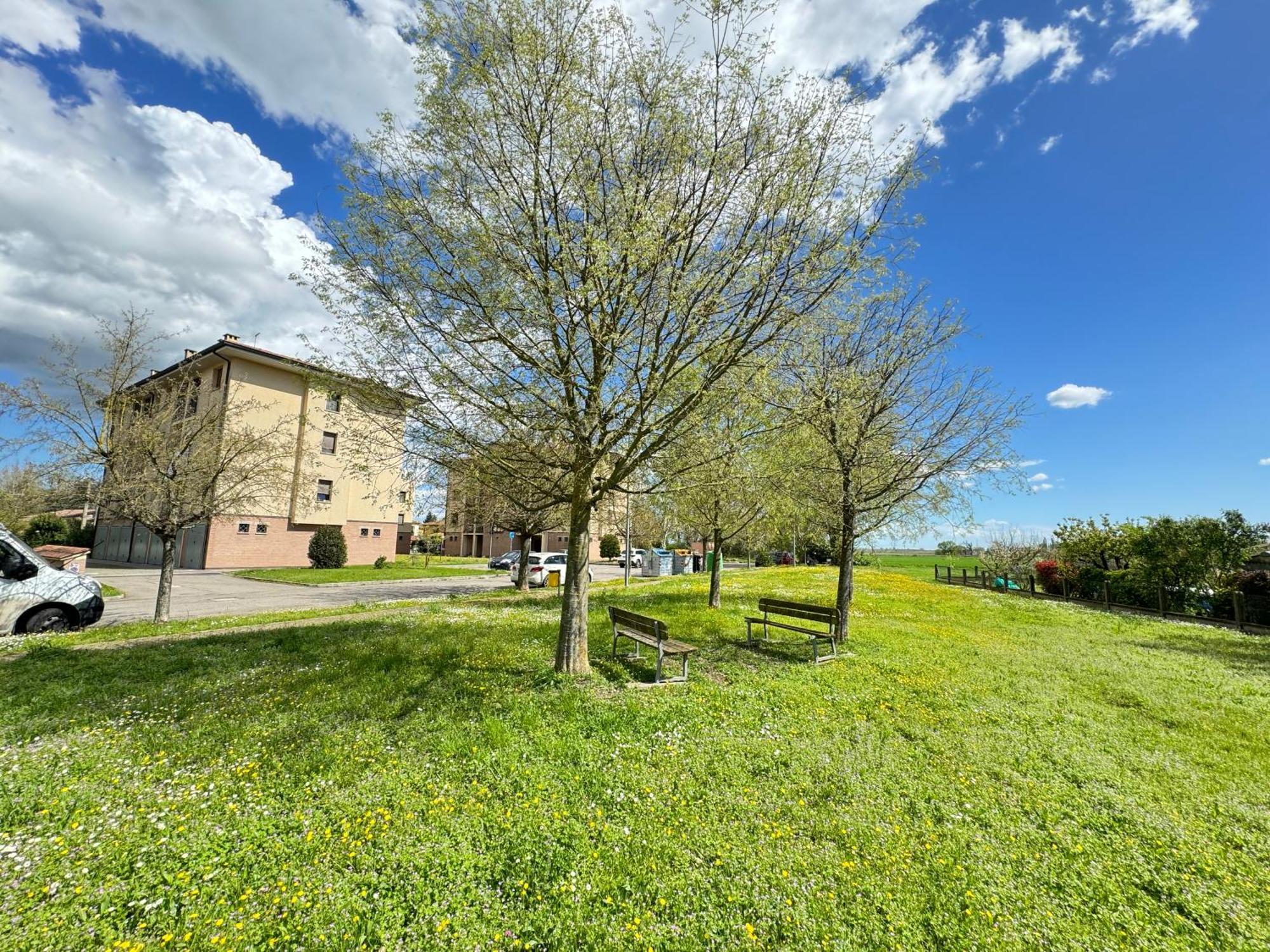 Appartamento Nel Cuore Della Natura - Parcheggio Gratuito - Wi-Fi Mezzolara Esterno foto